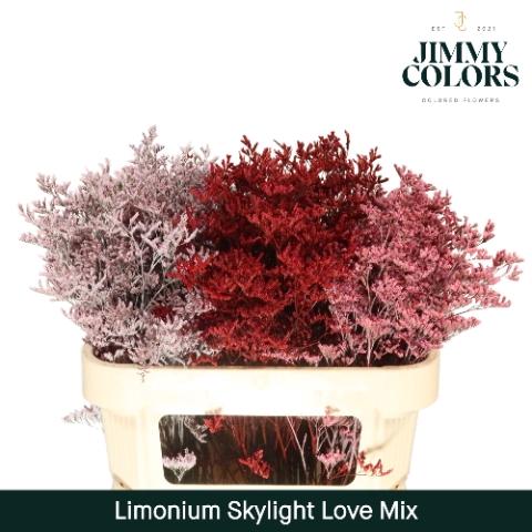 Limonium overig kleurbehandeld H%