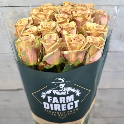 Rosa grootbloemig overig