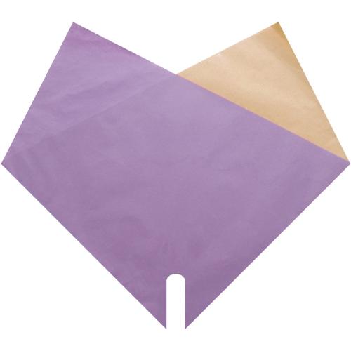 Sleeves Double Kraft 35*35cm x25