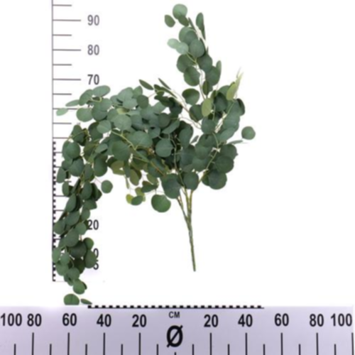Kytica eucalyptus populus x3 130cm umelá