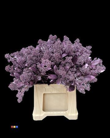 Skimmia per bos overig kleurbehandeld H%