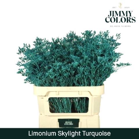 Limonium overig kleurbehandeld H%