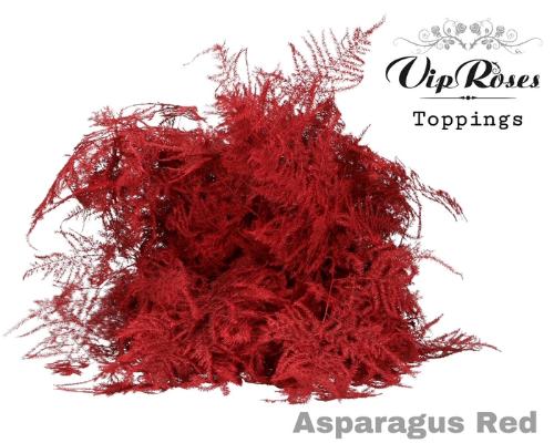 Asparagus overig kleurbehandeld H%