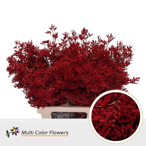 Limonium overig kleurbehandeld H%