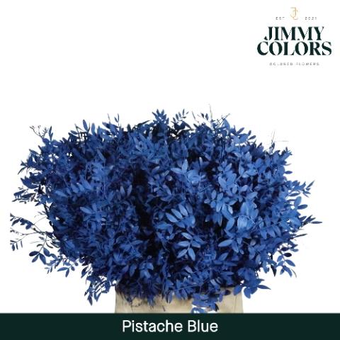 Pistacia kleurbehandeld H%