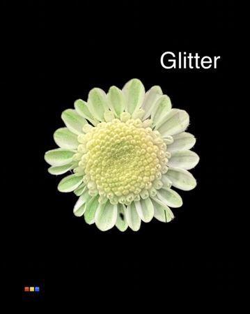 Chrysanthemum Indicum Grp tros kas kleurbehandeld H%