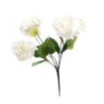 a95f0985-e80b-4cc6-aa90-bb2663250781.webp