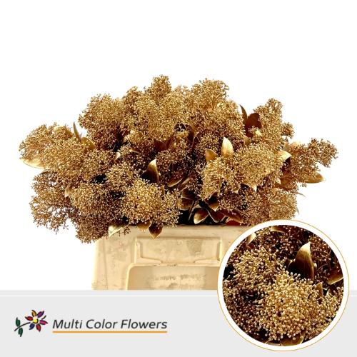 Skimmia per bos overig kleurbehandeld H%