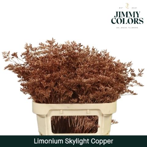 Limonium overig kleurbehandeld H%