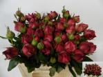 aaa0d71b-b55c-4d2b-a66c-d2ddddf8baa7.jpg