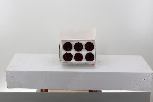 Rosa grootbloemig kleurbehandeld H%