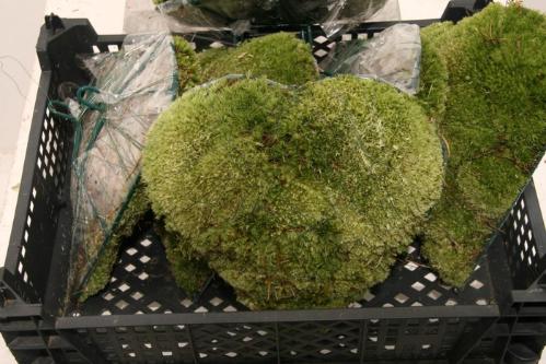 Decoratiegroen overig