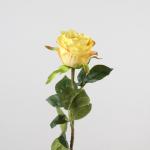 ab2b8595-07f6-4134-9637-0d6a8ad9de81.jpg