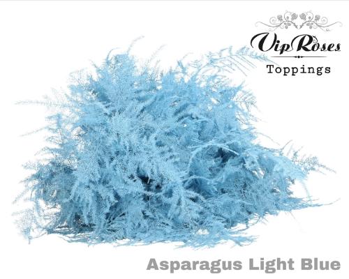 Asparagus overig kleurbehandeld H%