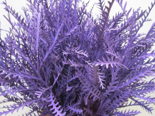 Decoratiegroen kleurbehandeld H%
