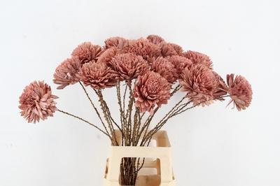 Huis en tuindecoratie overig H%