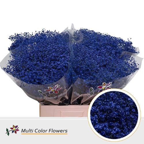 Gypsophila overig kleurbehandeld H%