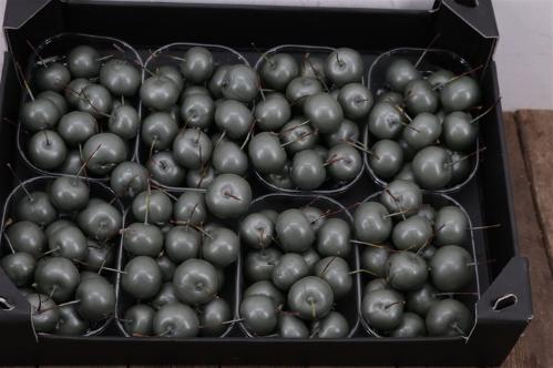 Wax appel H%