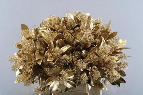 Skimmia per bos overig kleurbehandeld H%