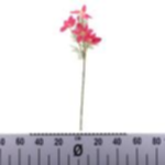 ad31a568-195f-4949-9598-a79c367affa2.webp