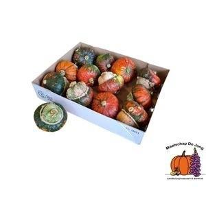 Siervruchten per stuk Cucurbita maxima Turk's Turban Mix