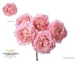 ad92f0b9-9cbd-4f3c-8dda-d9d0aaa62514.jpg