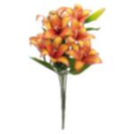 ae52d9ed-14ab-4b1c-b605-3aac12d321b2.webp