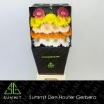 ae9bcde9-0754-48ad-8bc8-3caa0a629939.jpg