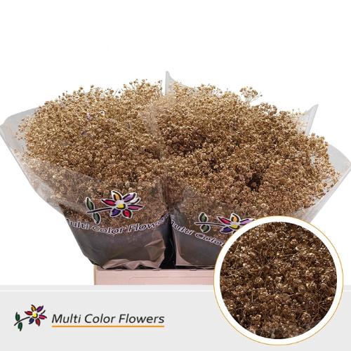 Gypsophila overig kleurbehandeld H%