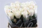 aed419aa-36c5-432b-800e-2b2ca1faa64c.jpg