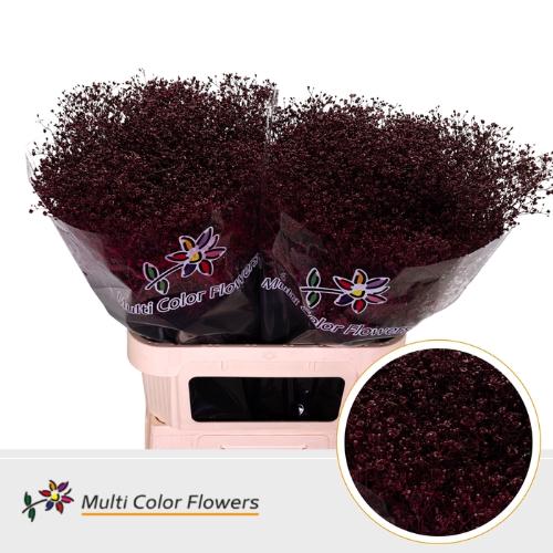 Gypsophila overig kleurbehandeld H%