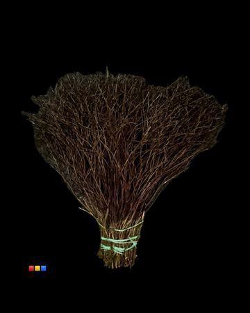 Vaccinium kleurbehandeld H%