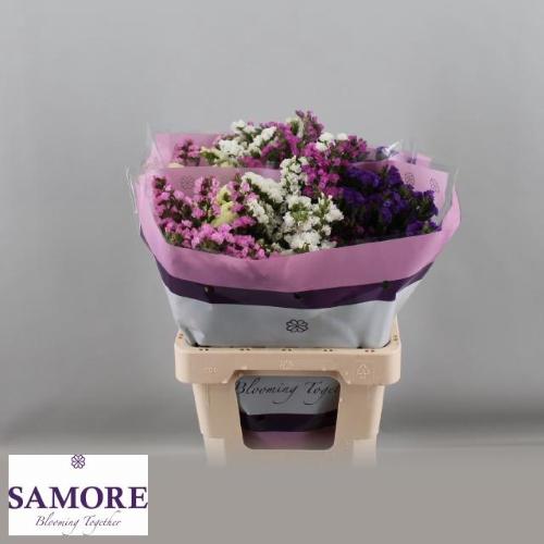 Limonium sinuatum gemengd