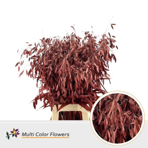 Siergras kleurbehandeld H%