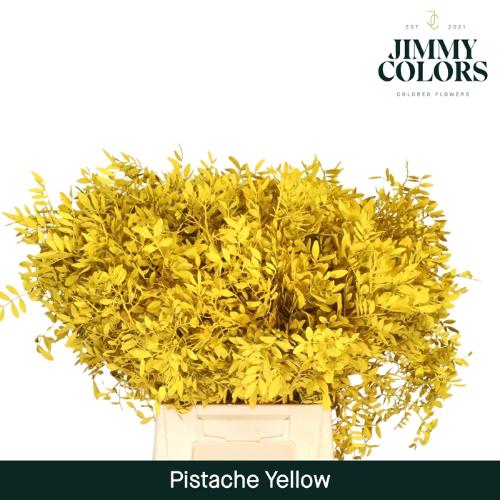 Pistacia kleurbehandeld H%