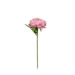 anemonne-latkove-stopkove-25cm.jpg