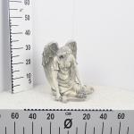 anjel-37x26-5x38-5.jpg