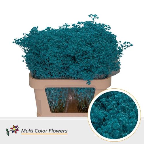Gypsophila overig kleurbehandeld H%