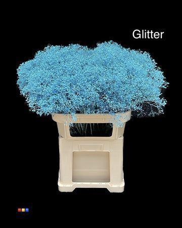 Gypsophila overig kleurbehandeld H%