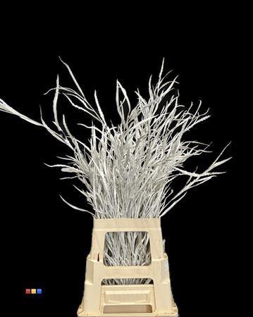 Decoratiegroen kleurbehandeld per bos H%