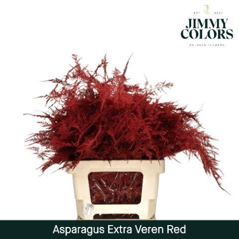 Asparagus overig kleurbehandeld H%