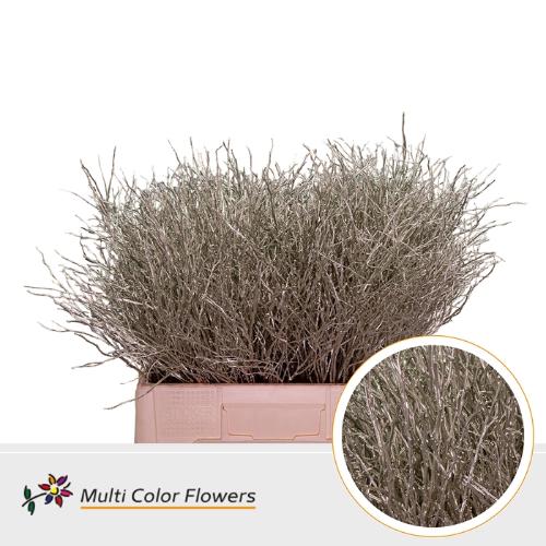 Vaccinium kleurbehandeld H%