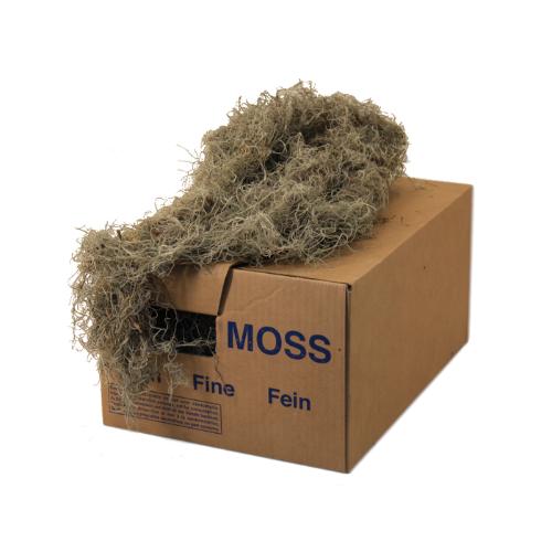 Mossen overig H%