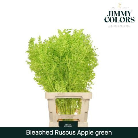 Snijbloemen overig kleurbehandeld H%