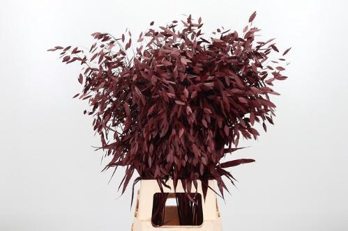 Siergras kleurbehandeld H%