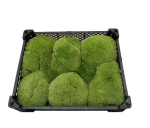 b26ae459-8be3-4cad-bac2-3a0c72318d33.png