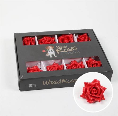 Rosa grootbloemig gewaxt H%