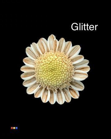 Chrysanthemum Indicum Grp tros kas kleurbehandeld H%