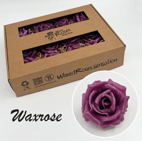 Rosa grootbloemig gewaxt H%