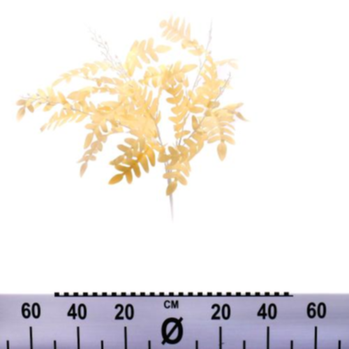 Sophora list x5 54cm umelý